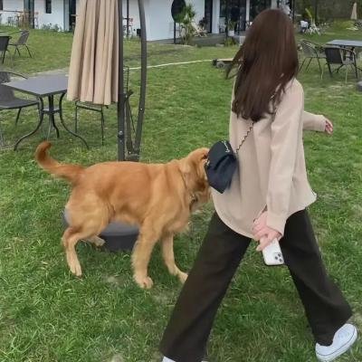 艾蜜丽的五件事